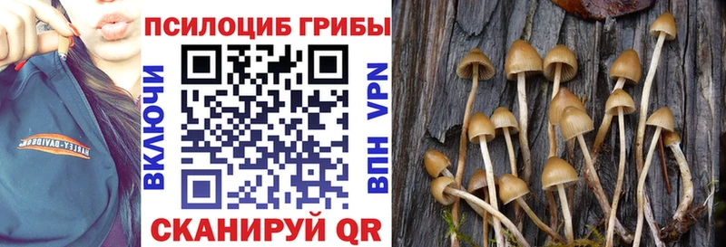 цены наркотик  OMG как зайти  Галлюциногенные грибы GOLDEN TEACHER  Майский 